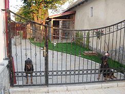 cainiu1