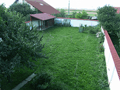 tarcu1